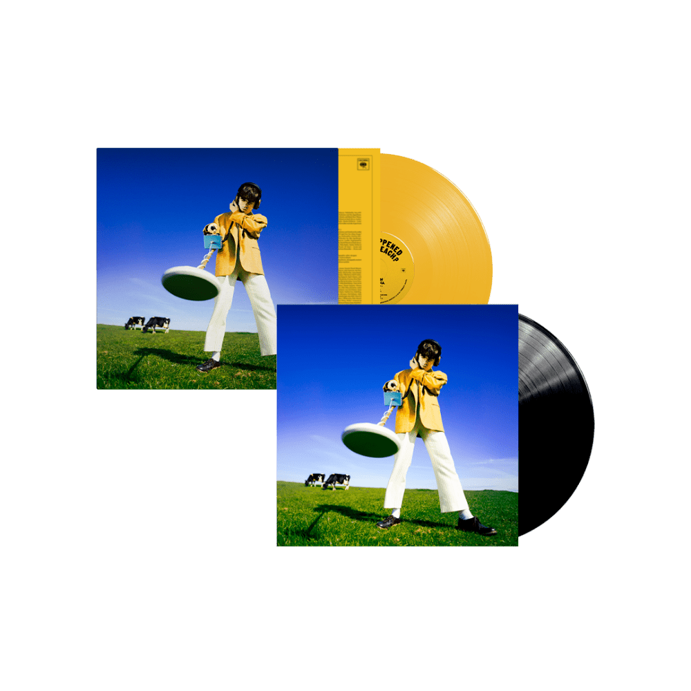 Declan McKenna - What Happened to the Beach? Sun Yellow Coloured Black Vinyl