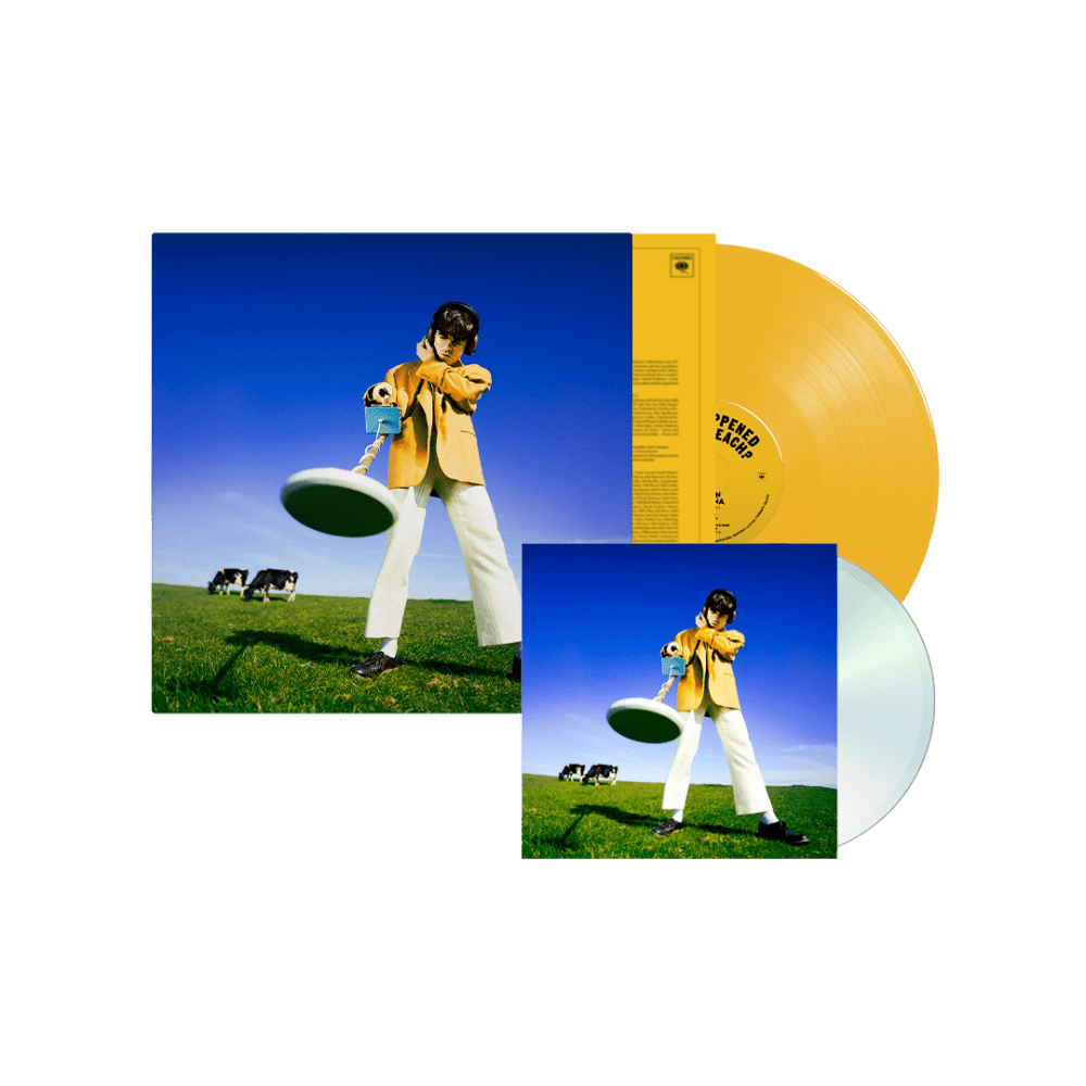 Declan McKenna - What Happened to the Beach? Sun Yellow Coloured Vinyl CD