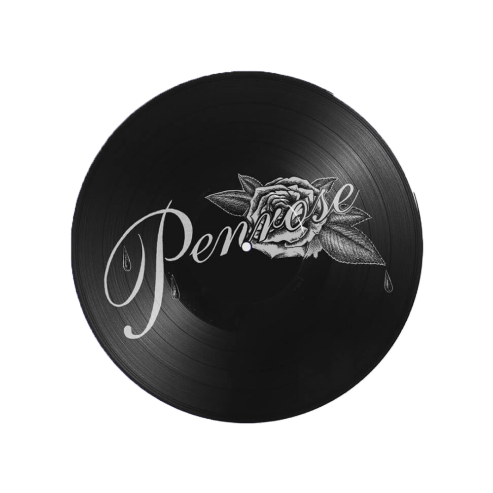 Various Artists - Penrose Showcase Vol.II RSD 2024 Picture Disc Vinyl