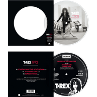 T. Rex - Children Of The Revolution / Jitterbug Love /  Sunken Rags 7" Picture Disc 7 Inch Vinyl